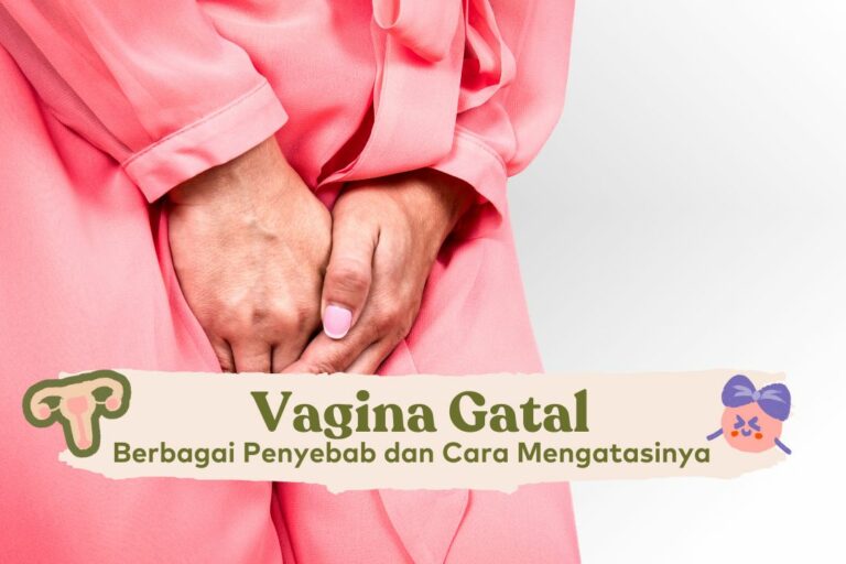 Pahami Penyebab Gatal Di Area Vagina Dan Cara Mengobatinya