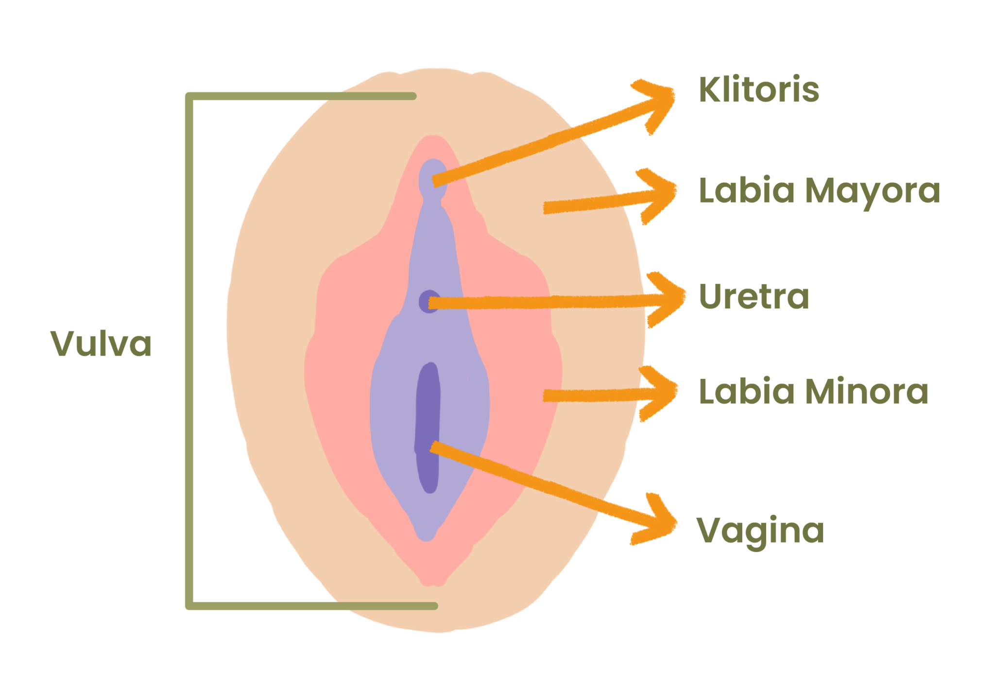 Pahami Penyebab Gatal Di Area Vagina Dan Cara Mengobatinya