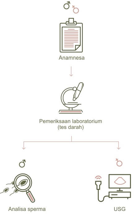 Diagnosis Infertilitas Pria Dan Wanita - Bocah Indonesia