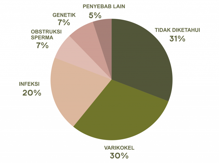 Diagnosis Infertilitas Pria Dan Wanita - Bocah Indonesia