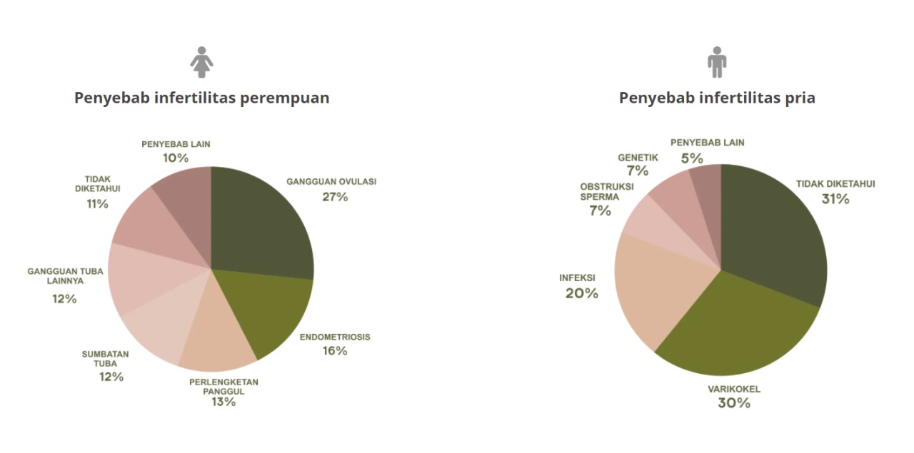 penyebab infertilitas