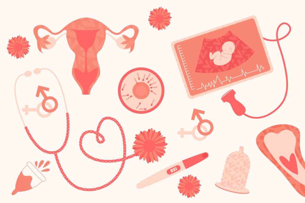 reproduksi wanita