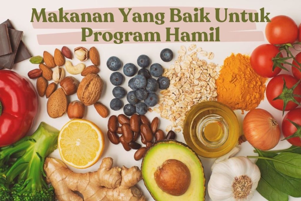 6 Makanan Sehat Yang Baik Dikonsumsi Untuk Program Hamil