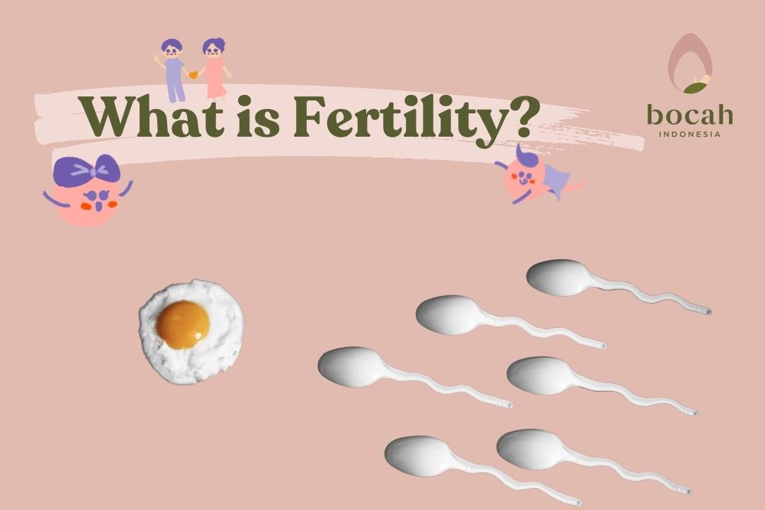 What is Fertility? - Bocah Indonesia Fertility Center