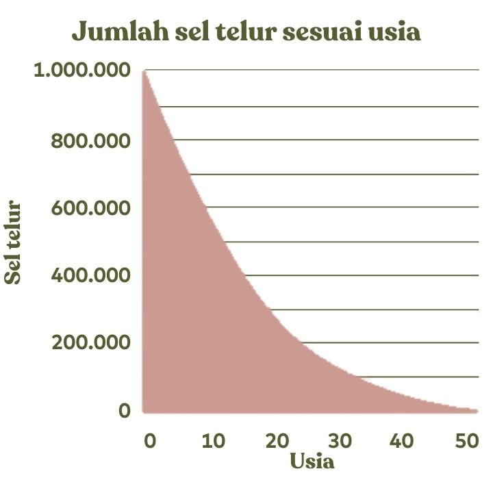 Jumlah sel telur sesuai usia