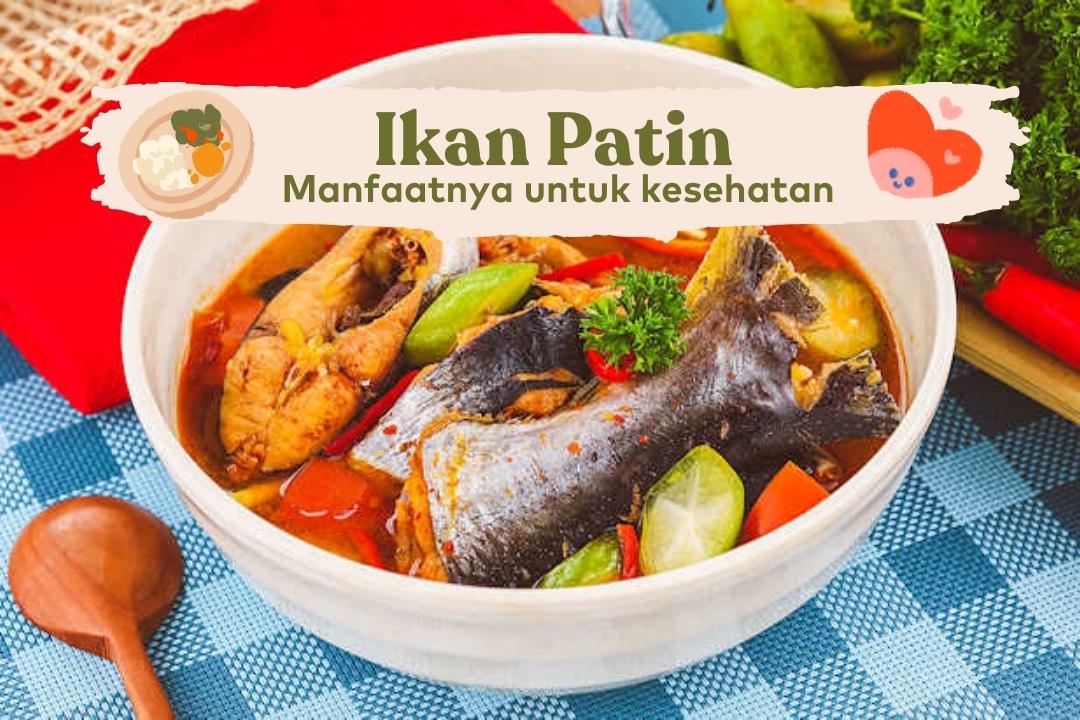 manfaat ikan patin