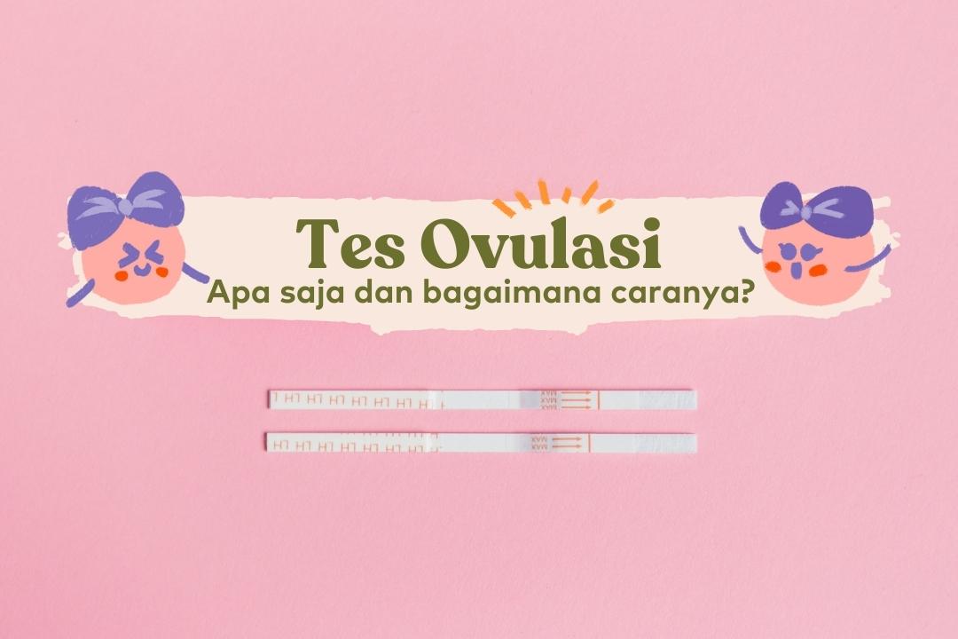 tes ovulasi