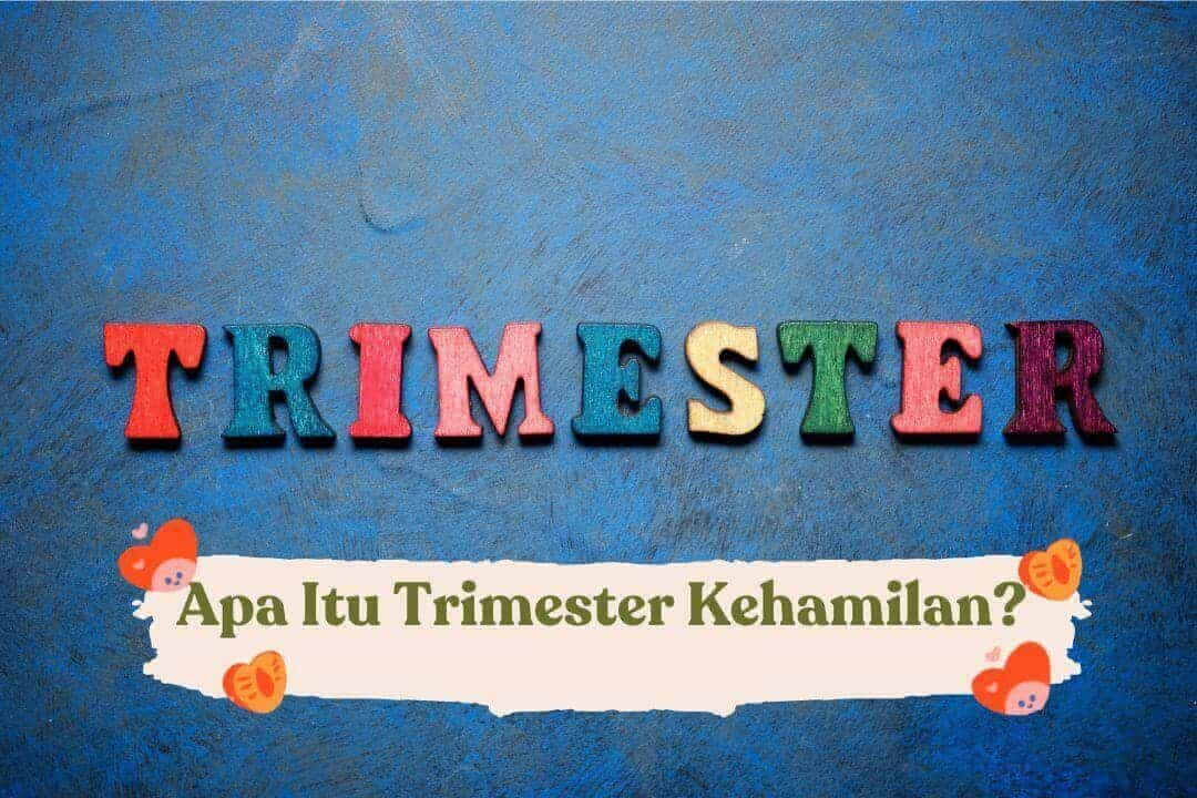 Apa Yang Harus Anda Ketahui Selama Trimester Kehamilan