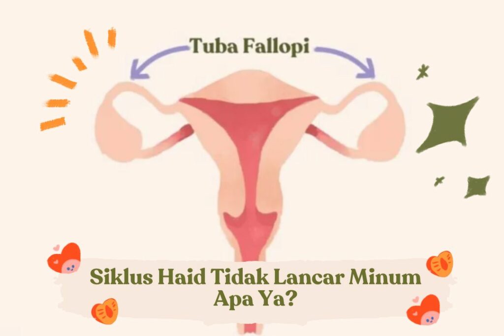 Makanan Pembuka Tuba Falopi Yang Terbukti Ampuh