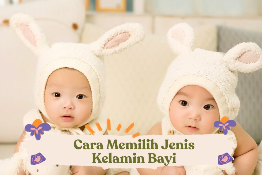 Cara Menentukan Jenis Kelamin Bayi, Penentu Jenis Kelamin Bayi