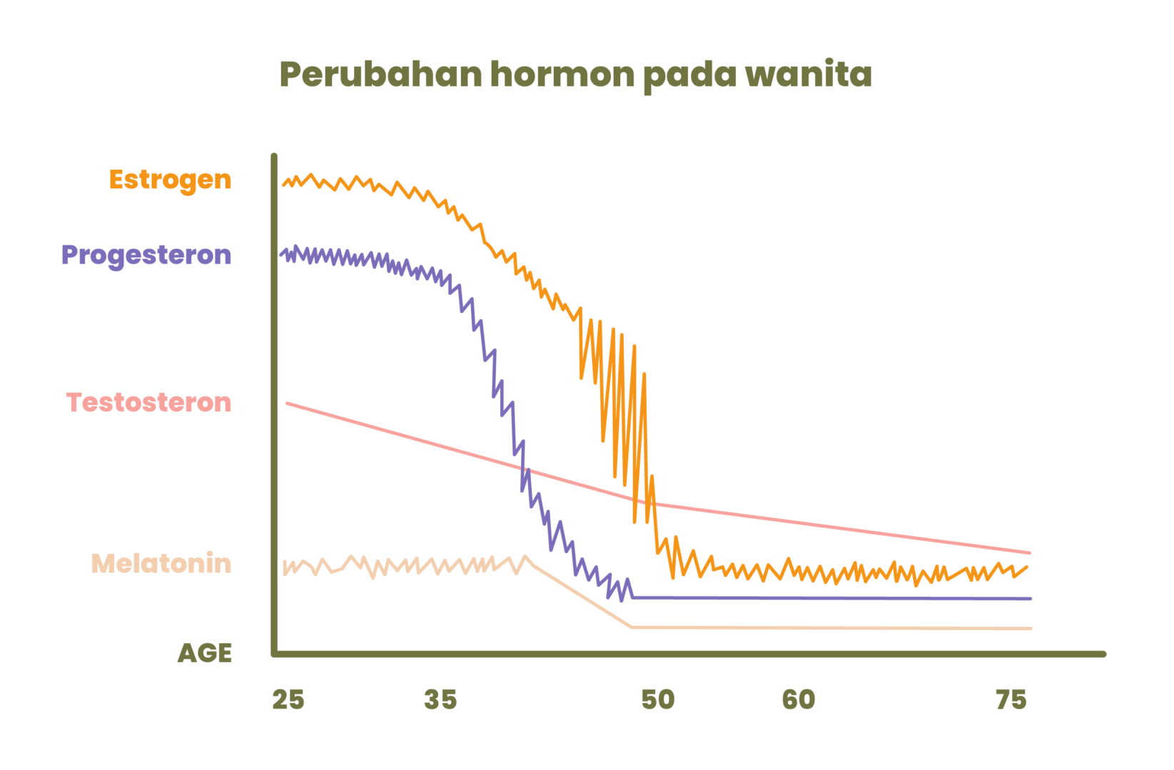 Klimakterium Tahap Menopause Dan Perubahan Hormonal