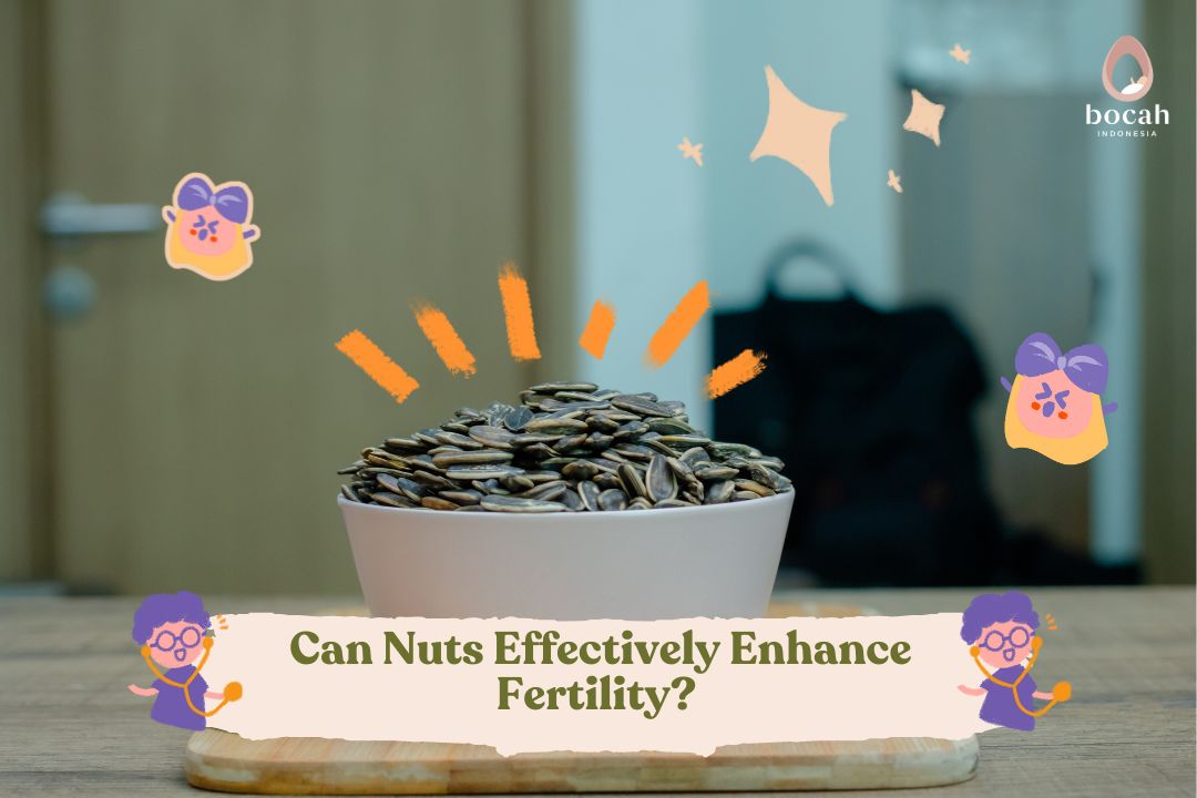 Can Nuts Effectively Enhance Fertility