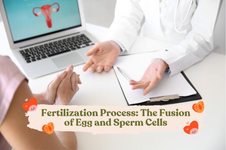 Fertilization Process: The Fusion of Egg and Sperm Cells