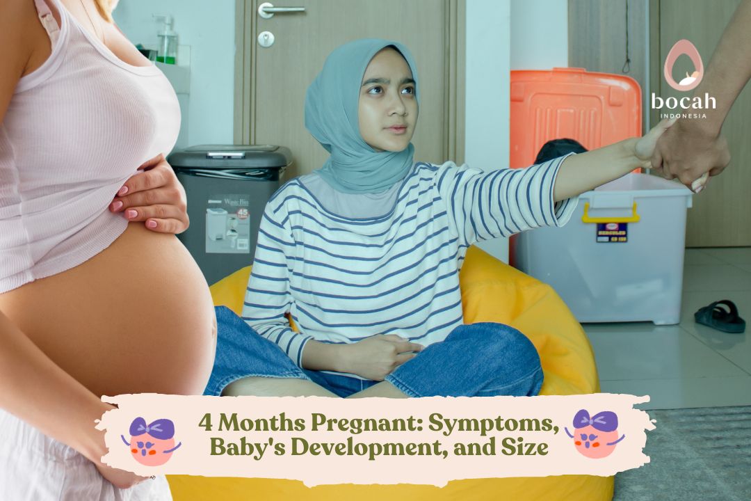 4 Months Pregnant: Symptoms, Baby's Development, and Size