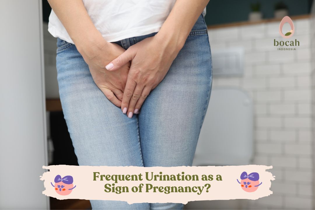 Frequent urination concept pregnancy symptom Vector Image