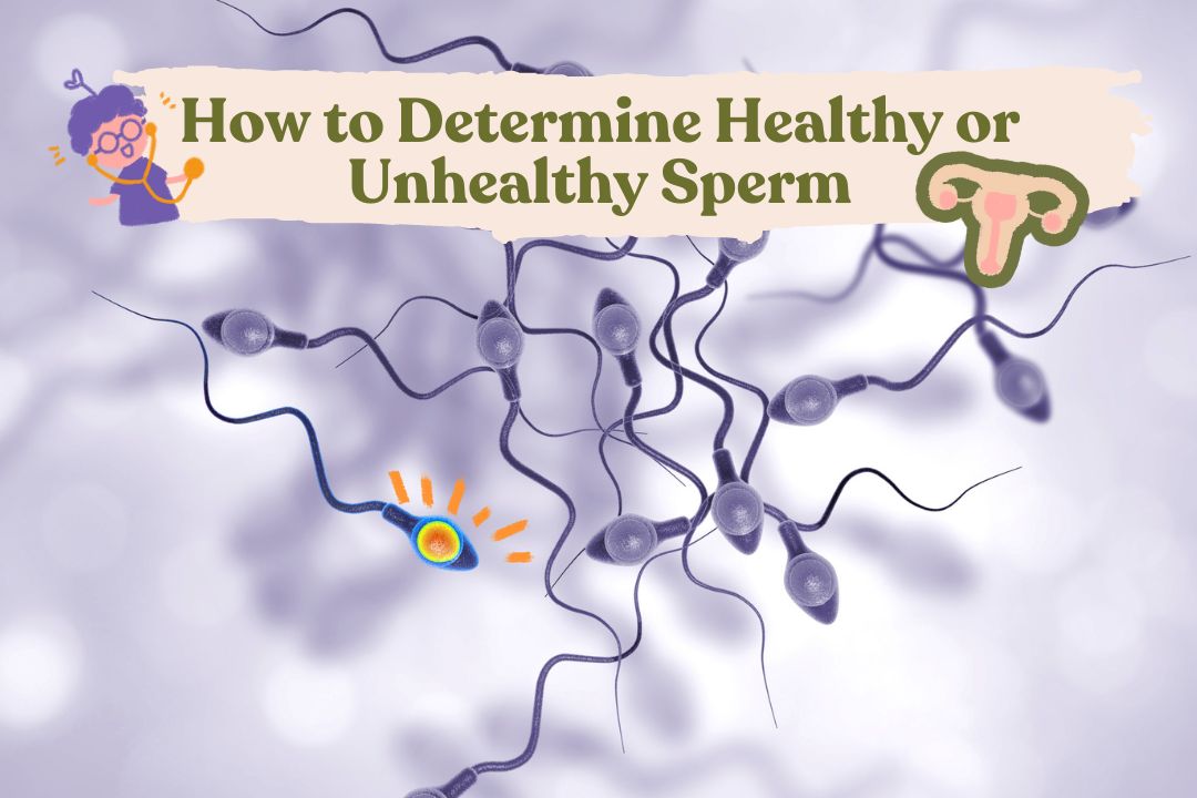 Knowing How to Differentiate Fertile and Unhealthy Sperm