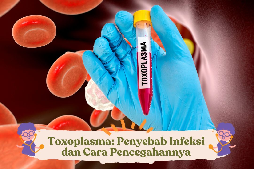 Toxoplasma