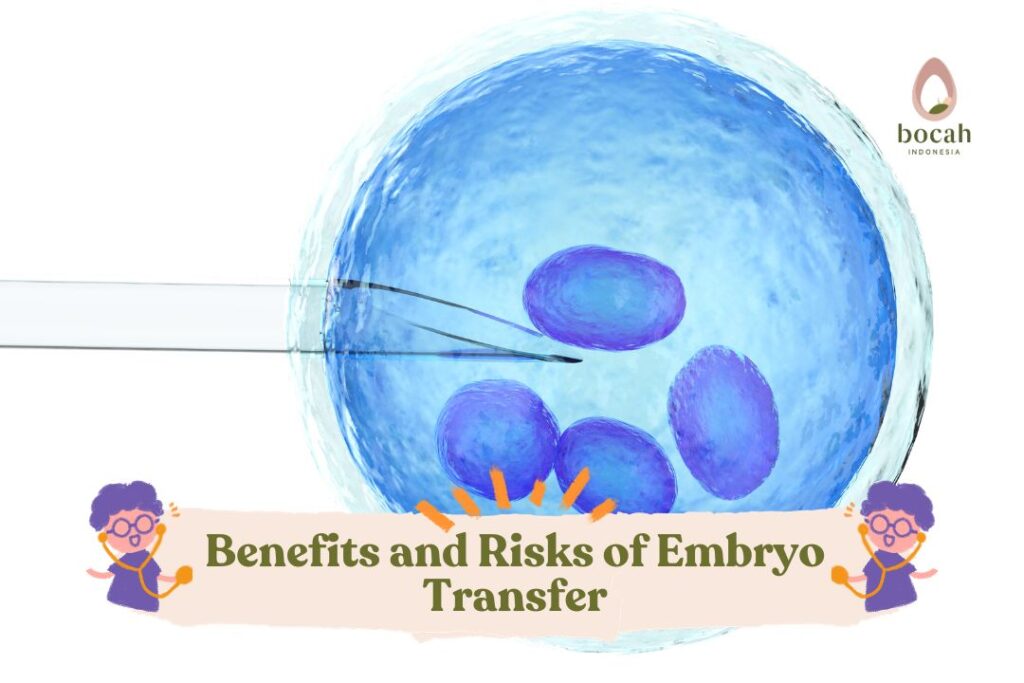 Benefits and Risks of Embryo Transfer