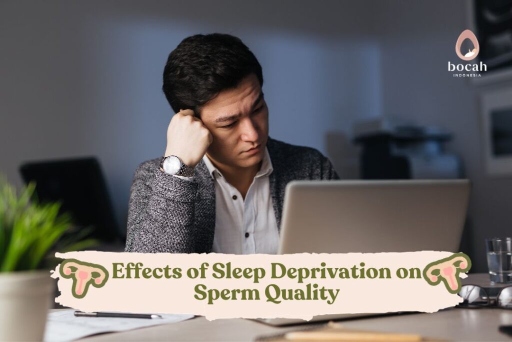 Sperm Agglutination on Male Fertility