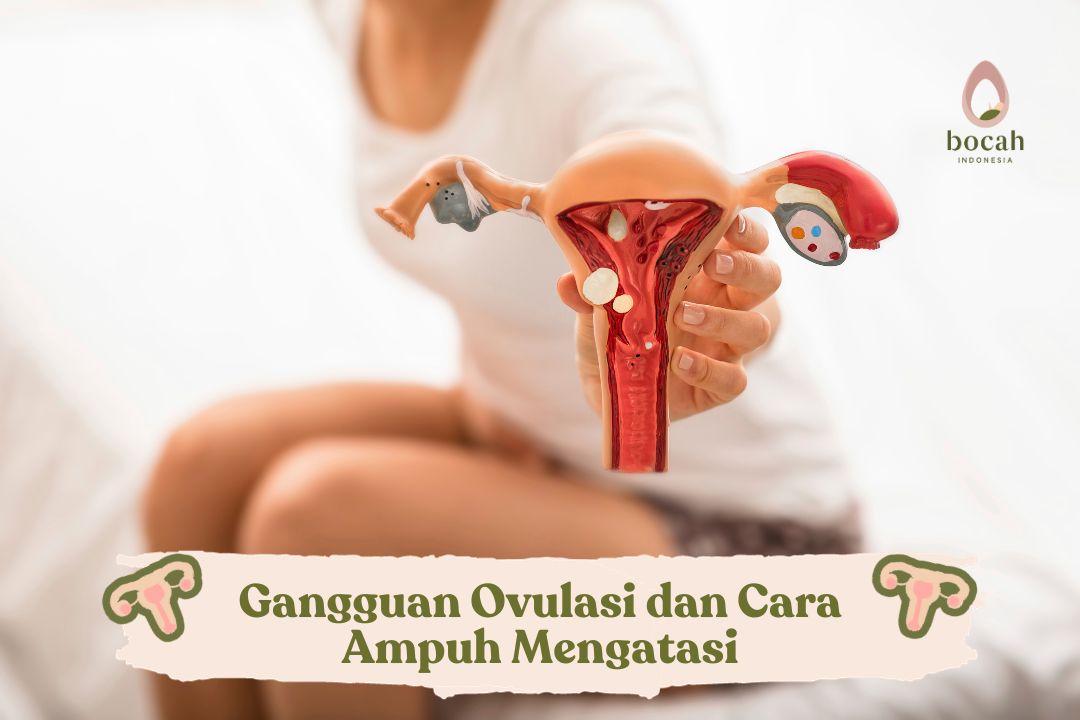 Gangguan Ovulasi dan Cara Ampuh Mengatasi