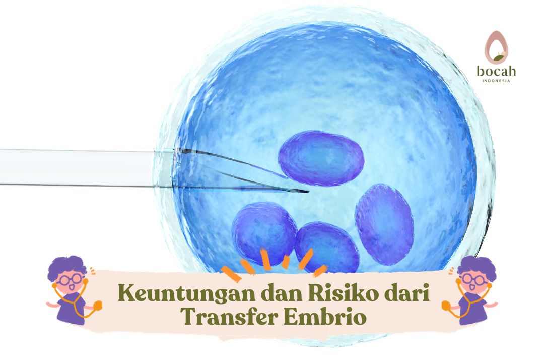 Keuntungan dan Risiko dari Transfer Embrio