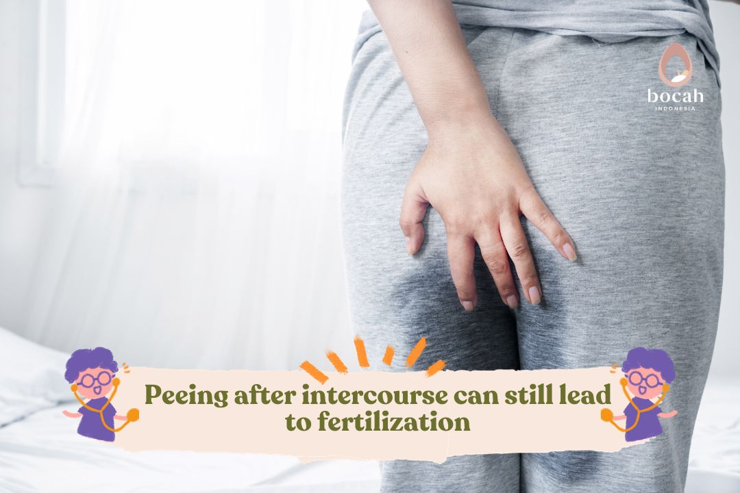 Peeing After Intercourse Can Still Lead To Fertilization