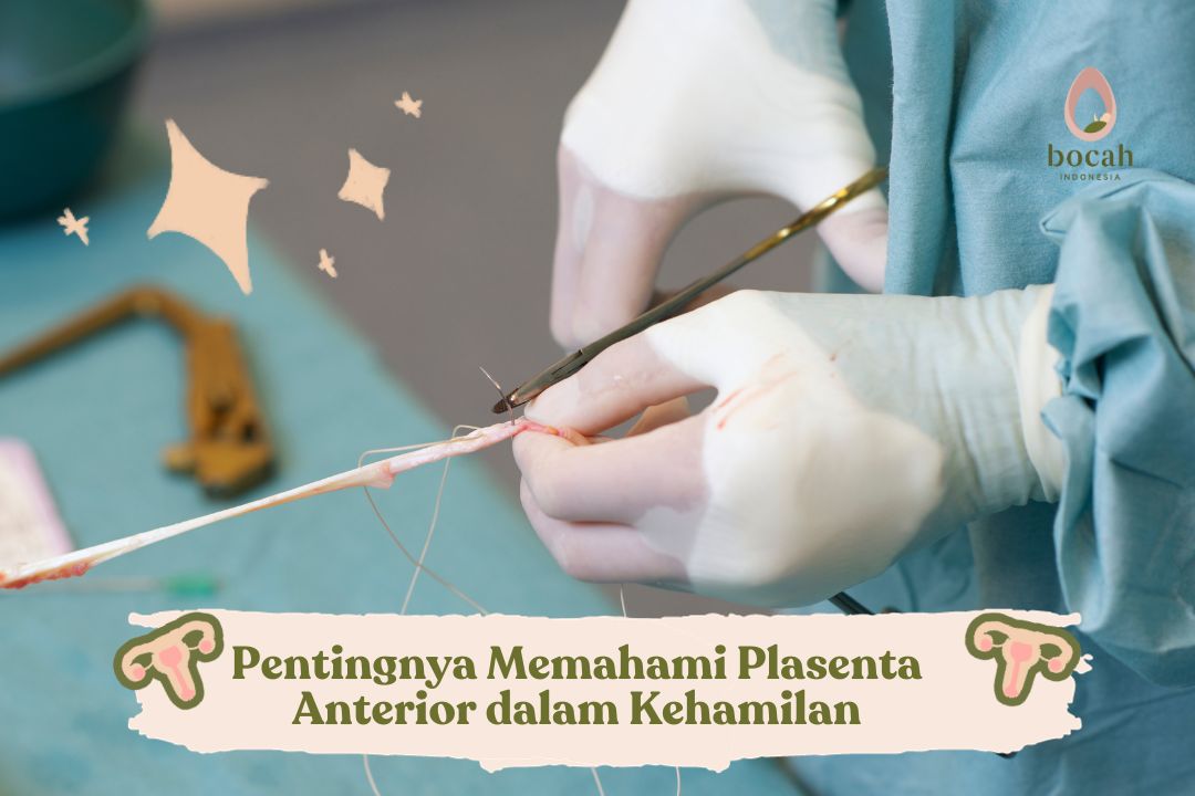 Pentingnya Memahami Plasenta Anterior dalam Kehamilan