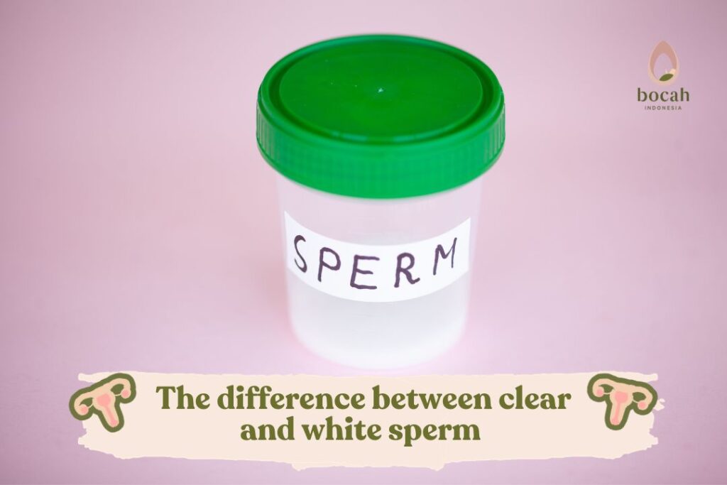 the-difference-between-clear-and-white-sperm