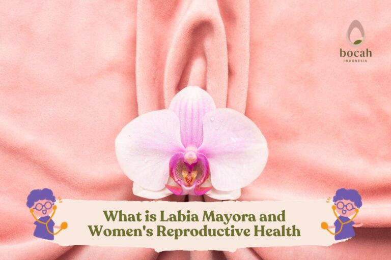 What Is Labia Mayora And Women's Reproductive Health