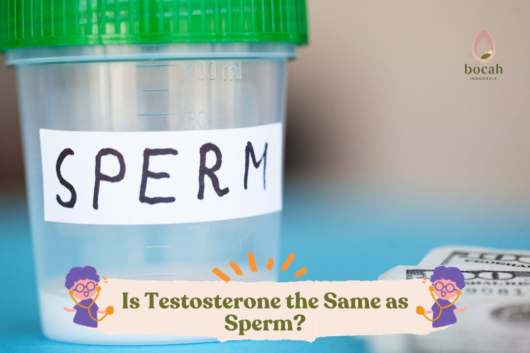 Is Testosterone the Same as Sperm