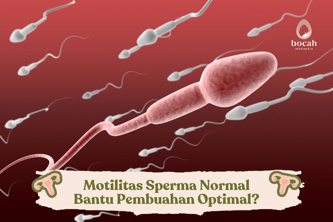 Motilitas Sperma Normal Bantu Pembuahan Optimal