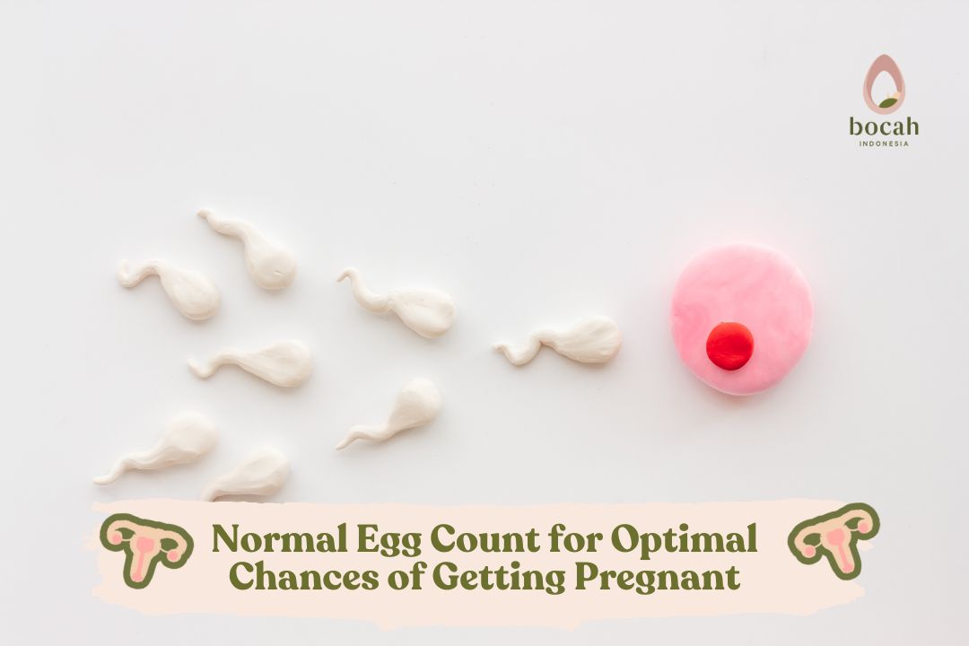 Chances of Getting Pregnant