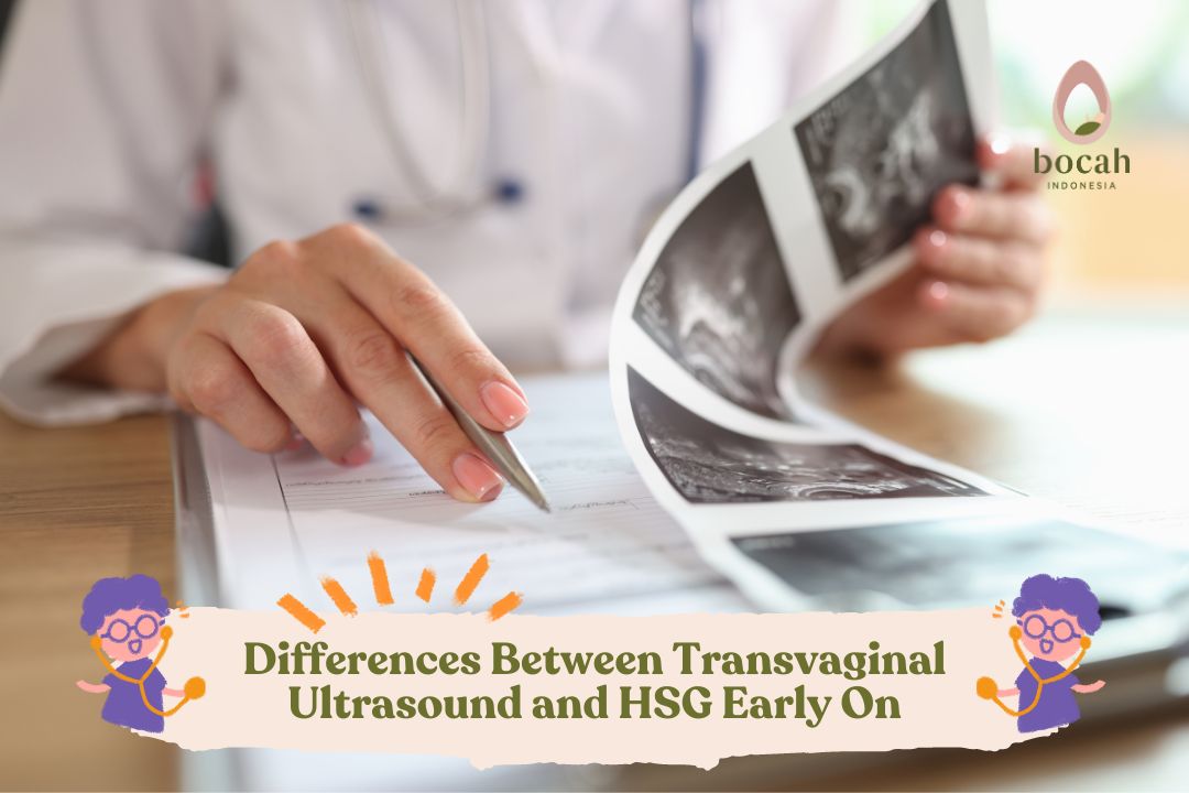 Difference Between Transvaginal Ultrasound And Hsg Early On 