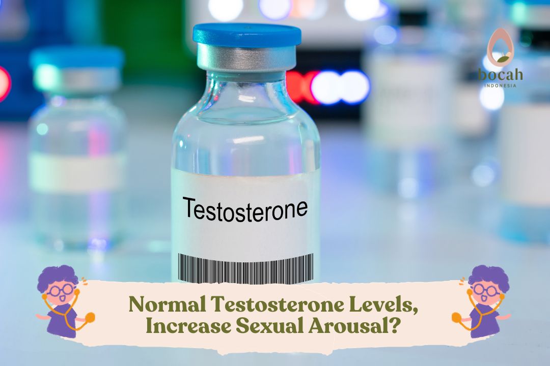 Normal Testosterone Levels, Increase Sexual Arousal