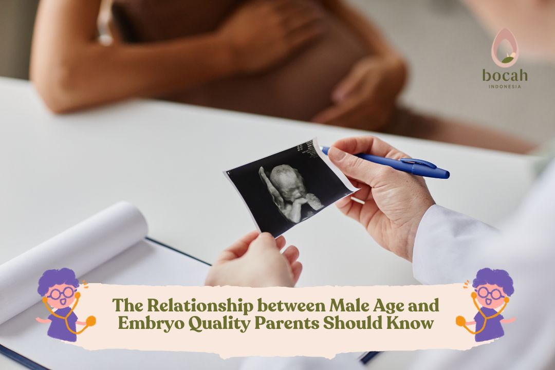 The Relationship between Male Age and Embryo Quality Parents Should Know