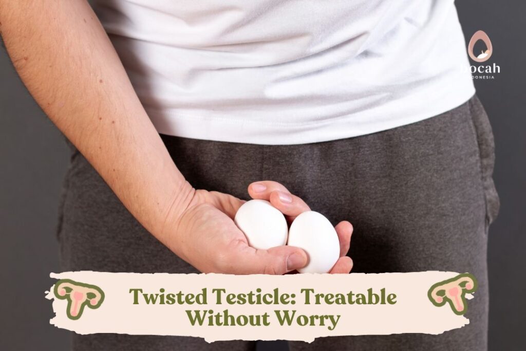 Twisted Testicle How to Heal Testicular Torsion