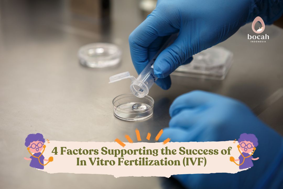 4 Factors Supporting the Success of In Vitro Fertilization (IVF)