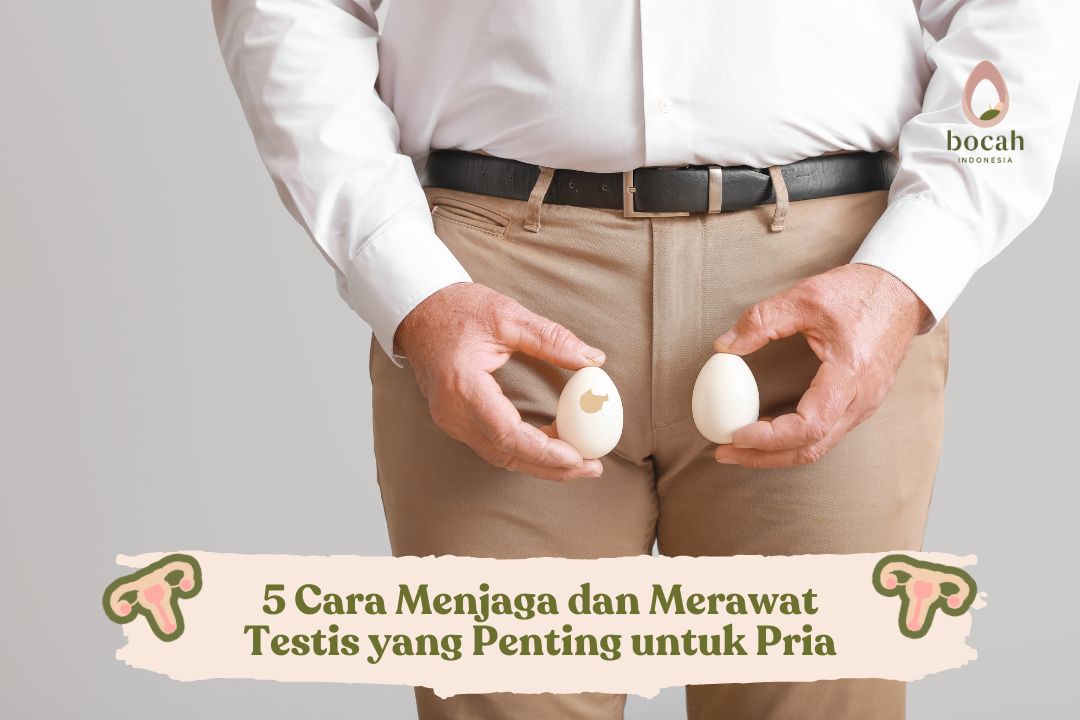 Cara Menjaga Dan Merawat Testis Yang Penting Untuk Pria