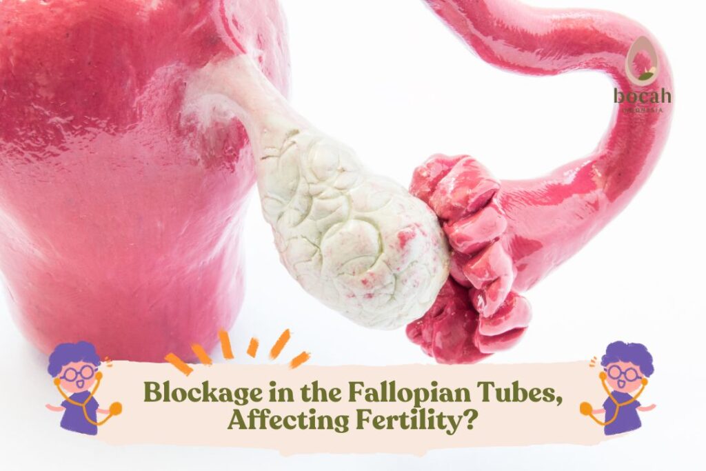 Fallopia Tubes Blockage in Fallopian tubes, affecting fertility?
