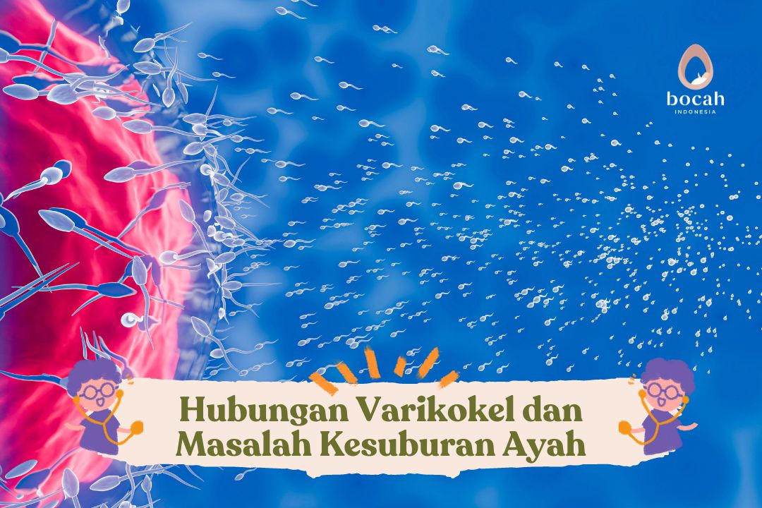 Hubungan Varikokel dan Masalah Kesuburan Ayah