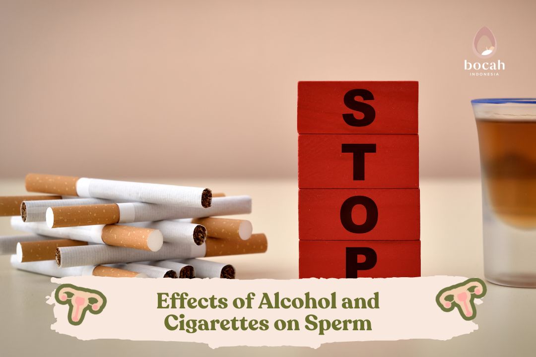 Effects of Alcohol and Cigarettes on Sperm