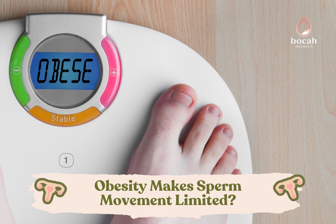 Obesity Makes Sperm Movement Limited