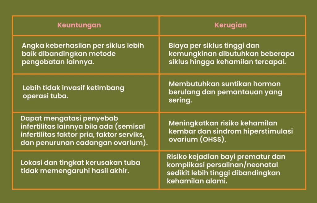 Keuntungan dan kerugian bayi tabung