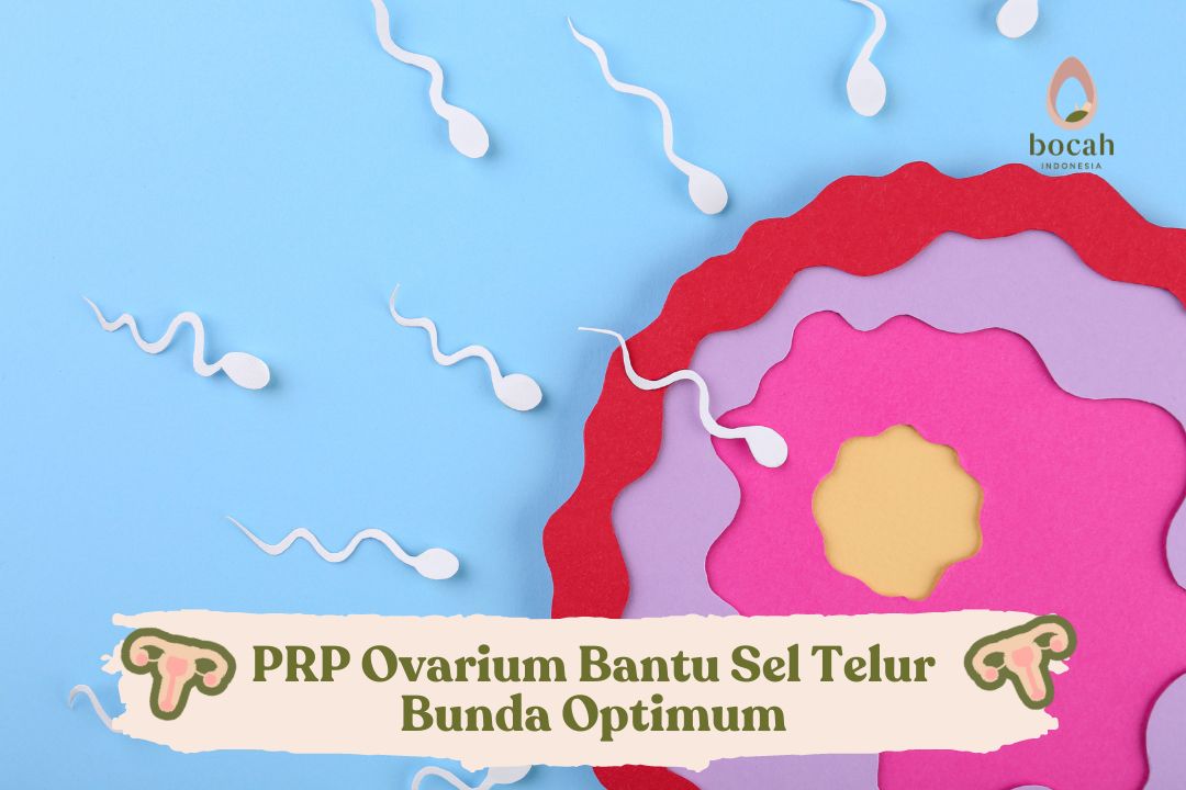 PRP Ovarium Bantu Sel Telur Bunda Optimum