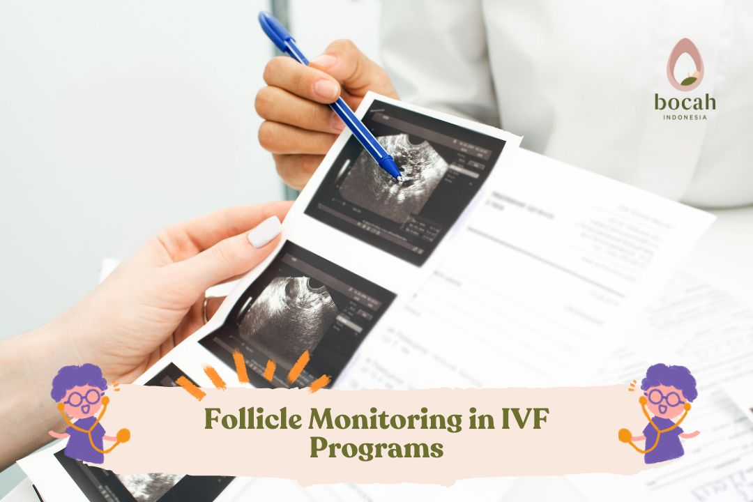 Follicle Monitoring in IVF Programs