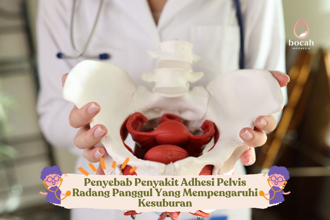 Penyebab Penyakit Adhesi Pelvis Radang Panggul