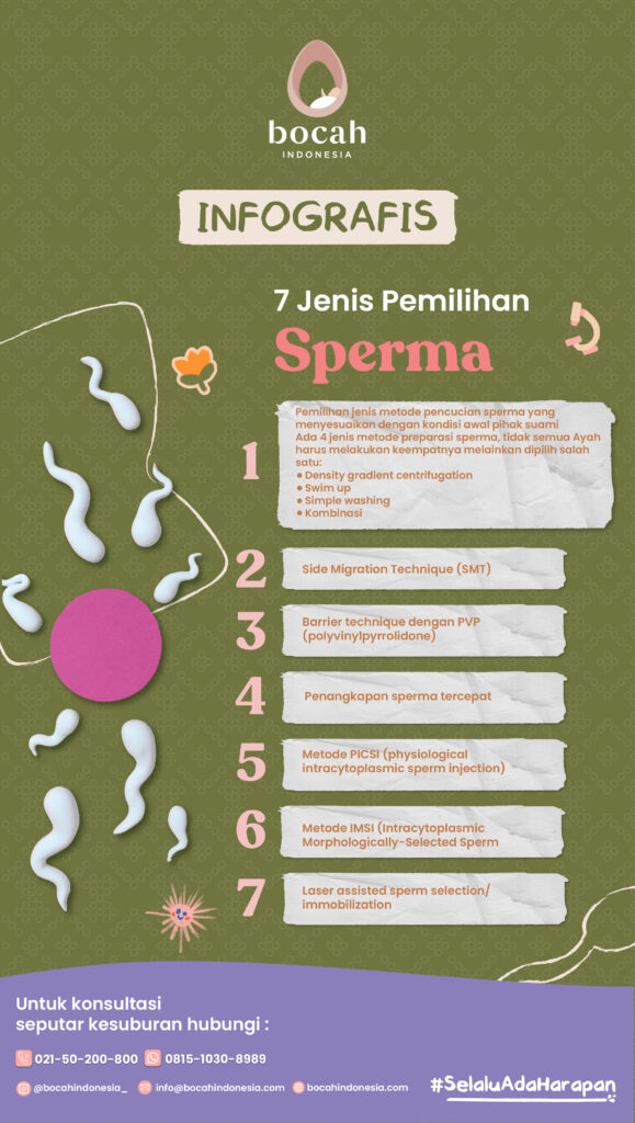 7 pemilihan sperma