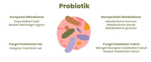 Probiotik