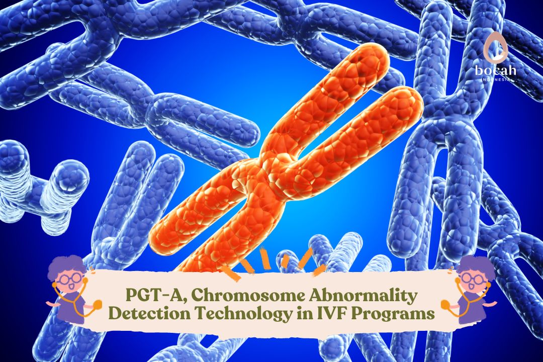 PGT-A, Chromosome Abnormality Detection Technology in IVF Programs