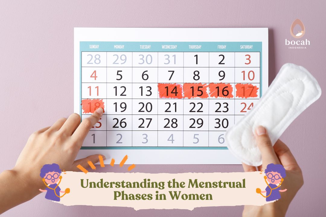 Understanding the Menstrual Phases in Women